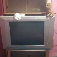 تلوزیون و میز|تلویزیون و پروژکتور|بندرعباس, |دیوار