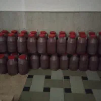 اجاره مغازه در شایسته ۱۵