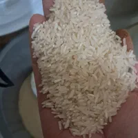 فروش برنج|خوردنی و آشامیدنی|دهدشت, |دیوار