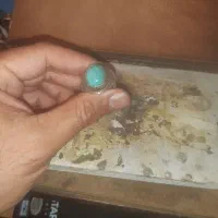 انگشتر نقره  عیار ۹۲۵ باکیفیت|جواهرات|شیراز, تل حسین‌آباد|دیوار