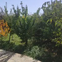 فروش-زمین-600متر-در-آبقد-حاشیه-رودخانه