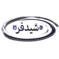 نیروی پخش خانم یا آقا دارای خودروی سواری