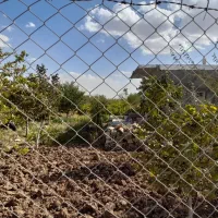 باغ ثمرده در آبخوره با سهم آب|فروش دفتر صنعتی، کشاورزی، تجاری|دشتابی, |دیوار