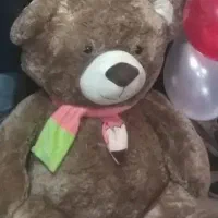 خرس قهوه ای بزرگ