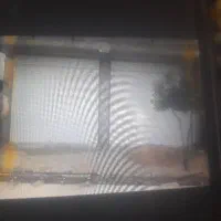 اجاره مغازه