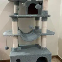 اسکرچر گربه هتل گربه ای