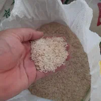 برنج هاشمی درجه ۱