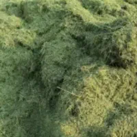 یونجه دامپری درجه 1|عمده‌فروشی|شیراز, داریون|دیوار