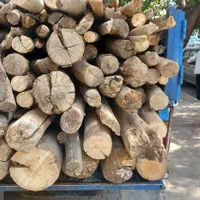 خرید فروش چوب قطع وبرش درخت هرس کاری|خدمات باغبانی و درختکاری|مشهد, عبادی|دیوار