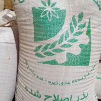 بذر گواهی شده پیشگام 500 کیلو