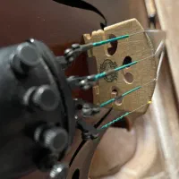 ویولن حرفه ای|ویولن|دوگنبدان, |دیوار