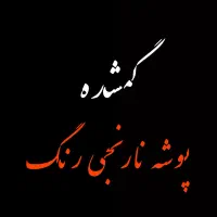 پوشه نارنجی رنگ حاوی مدارک گمشده در بلوار چمران