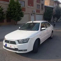 دناتیپ۲مدل۹۵کم کارسالم وبی رنگ