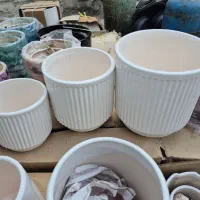 گل وگلدون|گل و گیاه طبیعی|گنبد کاووس, |دیوار