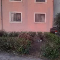 آپارتمان ۶8 متری طبقه اول کوچصفهان سند تک برگ