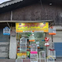 قفس و لوازم جانبی پرندگان