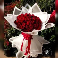 راهنمایی میکنم