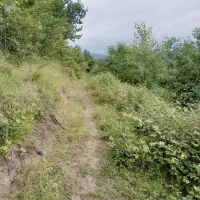 فروش فوری زمین ۵۰۰متری اطاقور