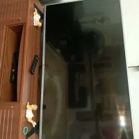 تلوزیون