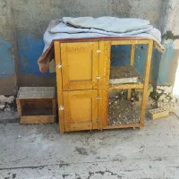 قفس پرنده|لوازم جانبی حیوانات|اهواز, نادری|دیوار