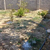 باغچه-400متری