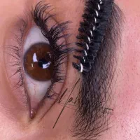 میکرو مو ق ت را ی گ ان قبل کار