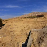 زمین کشاورزی|فروش دفتر صنعتی، کشاورزی، تجاری|کامیاران, |دیوار