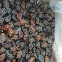 خرمای کده  شمارا نقدا خریدارم