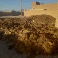 کود گوسفندی درجه یک