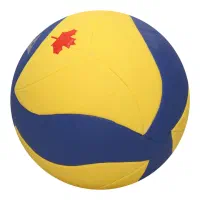 توپ والیبال Fox خارجی به همراه هدیه|ورزشهای توپی|تهران, افسریه شمالی|دیوار