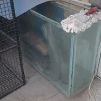 اکواریوم