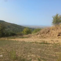 فروش زمین جنگلی و باغی با ویو عالی|فروش زمین و ملک کلنگی|بهشهر, |دیوار