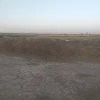 کود گاوی و گوسفندی