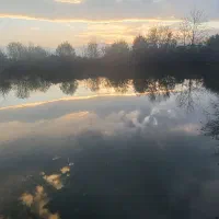 فروش فوری بچه ماهی