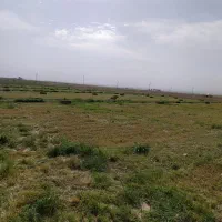 یونجه پرس امسالی