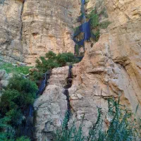 حمل بار