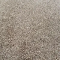 فروش کاه قره دنه