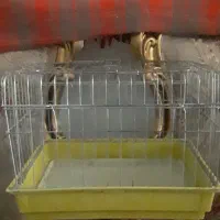 قفس حیوانات