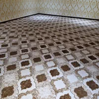 پرادا،الگلی،موکت صدرا|موکت|اهواز, دغاغله|دیوار