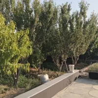باغ-ویلا-1700متر-شهریار-وحیدیه-بلوار-امینی