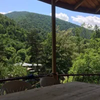 ماهانه سبک قاجاری