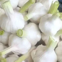 استخدام فقط از شهرستان کنگاور