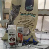 لوازم گربه