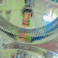 چراغ پراید 132|قطعات یدکی و لوازم جانبی|شادگان, |دیوار