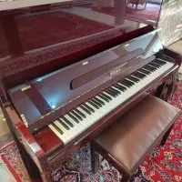 پیانو اگوستیک فالکون