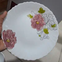 آرکوپال ۱۲ نفره پلمپ