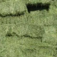 ۵۰ عدد پرس یونجه بفروش میرسد ۵۵۵