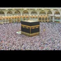 2عدد فیش تمتع