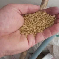 جو .|خدمات باغبانی و درختکاری|جوکار, |دیوار