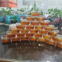 لبنیات اصیل آذربایجان|خوردنی و آشامیدنی|تهران, شیخ هادی|دیوار